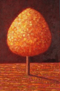 Albero inondato di sole